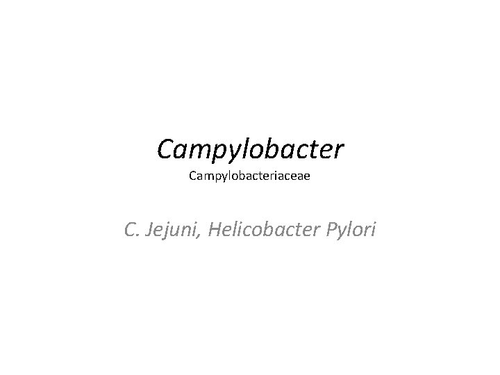 Campylobacteriaceae C. Jejuni, Helicobacter Pylori 