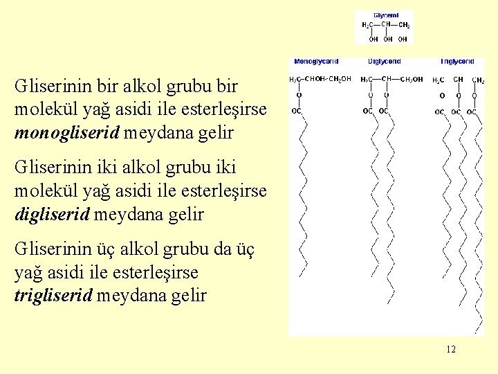 Gliserinin bir alkol grubu bir molekül yağ asidi ile esterleşirse monogliserid meydana gelir Gliserinin