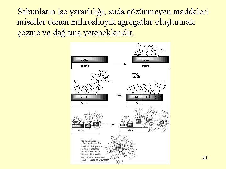 Sabunların işe yararlılığı, suda çözünmeyen maddeleri miseller denen mikroskopik agregatlar oluşturarak çözme ve dağıtma