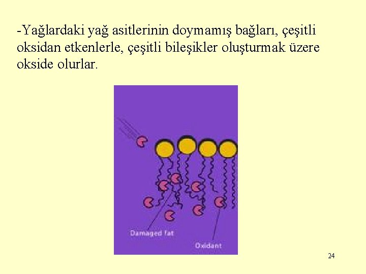 -Yağlardaki yağ asitlerinin doymamış bağları, çeşitli oksidan etkenlerle, çeşitli bileşikler oluşturmak üzere okside olurlar.