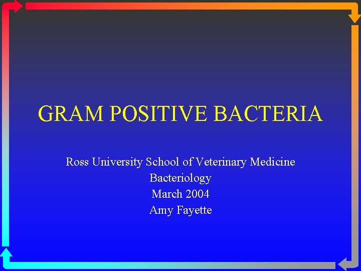 GRAM POSITIVE BACTERIA Ross University School of Veterinary Medicine Bacteriology March 2004 Amy Fayette