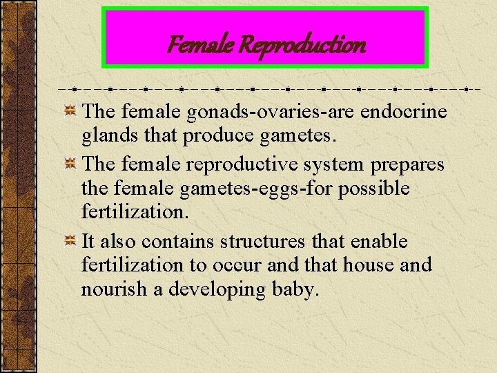 Female Reproduction The female gonads-ovaries-are endocrine glands that produce gametes. The female reproductive system
