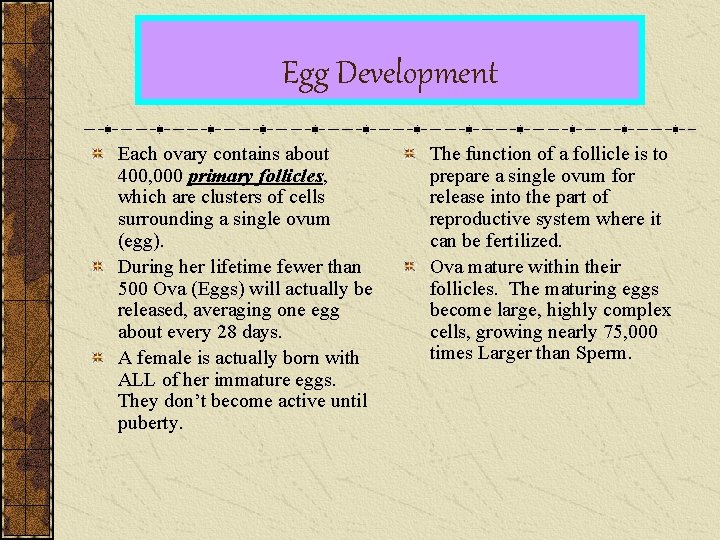 Egg Development Each ovary contains about 400, 000 primary follicles, which are clusters of