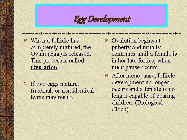 Egg Development When a follicle has completely matured, the Ovum (Egg) is released. This