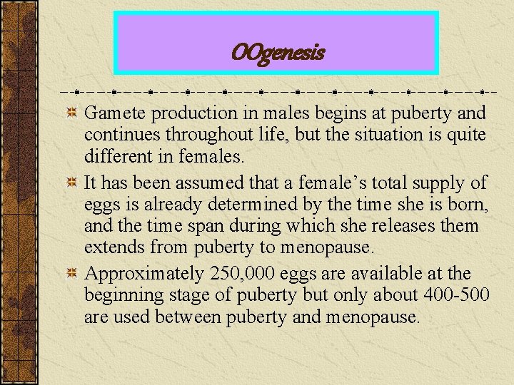 OOgenesis Gamete production in males begins at puberty and continues throughout life, but the