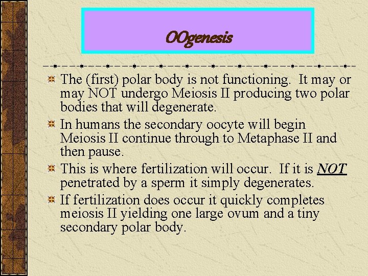 OOgenesis The (first) polar body is not functioning. It may or may NOT undergo