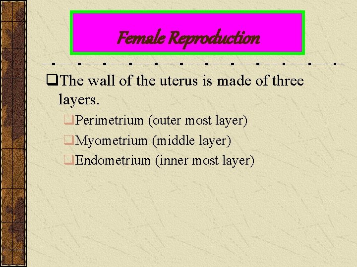 Female Reproduction q. The wall of the uterus is made of three layers. q.