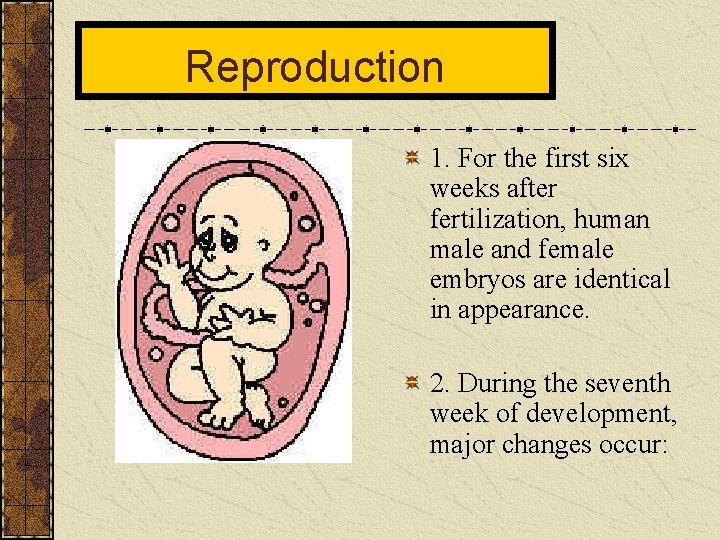 Reproduction 1. For the first six weeks after fertilization, human male and female embryos