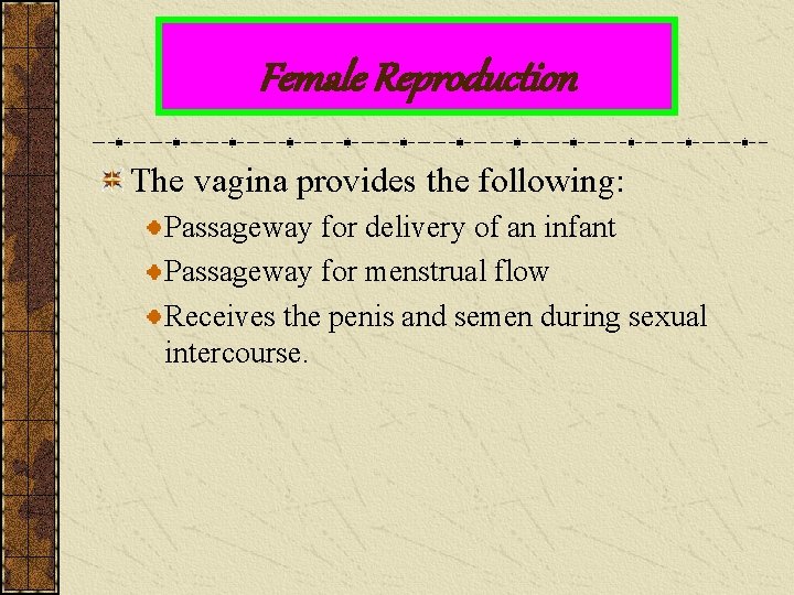 Female Reproduction The vagina provides the following: Passageway for delivery of an infant Passageway