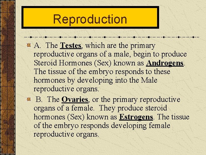 Reproduction A. The Testes, which are the primary reproductive organs of a male, begin