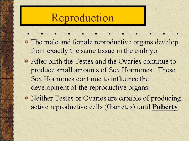 Reproduction The male and female reproductive organs develop from exactly the same tissue in