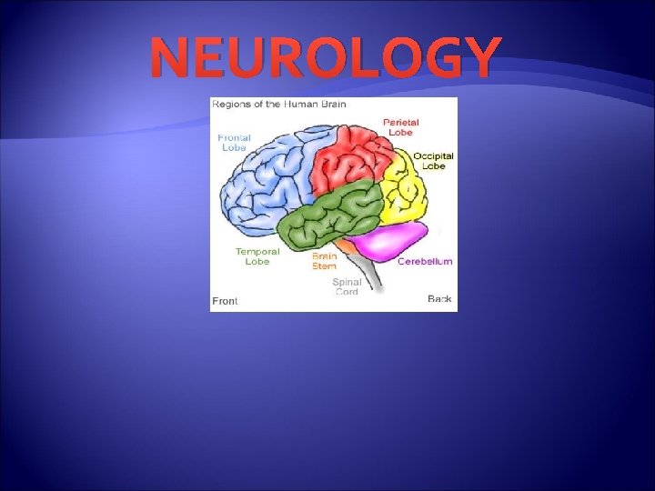 NEUROLOGY 