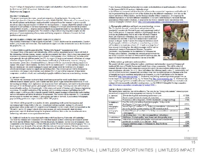 15 LIMITLESS POTENTIAL | LIMITLESS OPPORTUNITIES | LIMITLESS IMPACT 