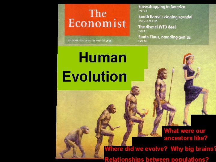 Human Evolution What were our ancestors like? Where did we evolve? Why big brains?