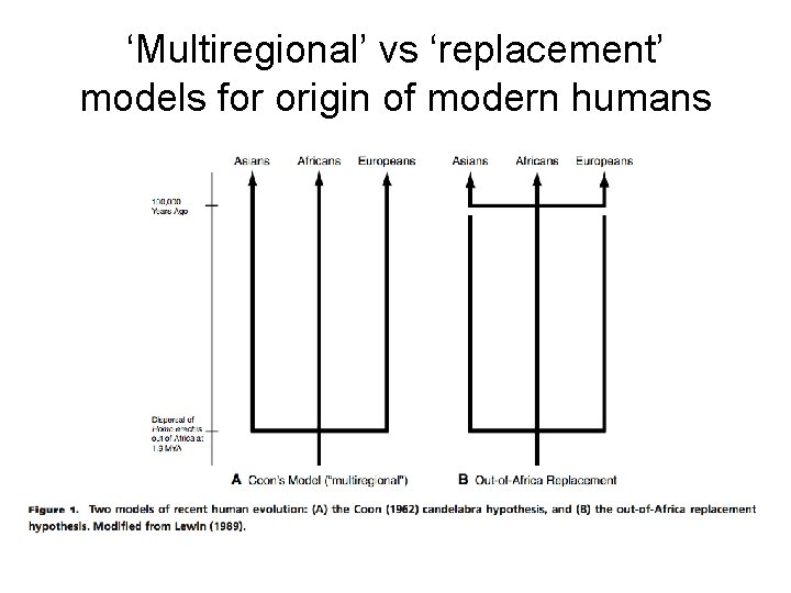 ‘Multiregional’ vs ‘replacement’ models for origin of modern humans 