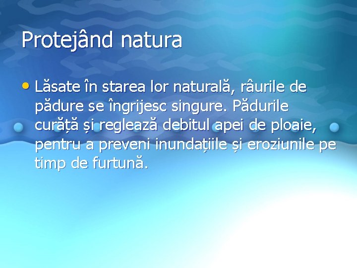Protejând natura • Lăsate în starea lor naturală, râurile de pădure se îngrijesc singure.