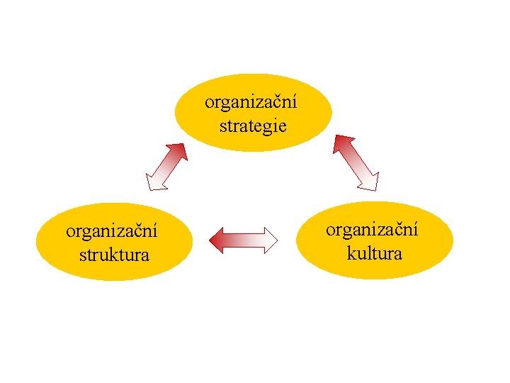 organizační strategie organizační struktura organizační kultura 