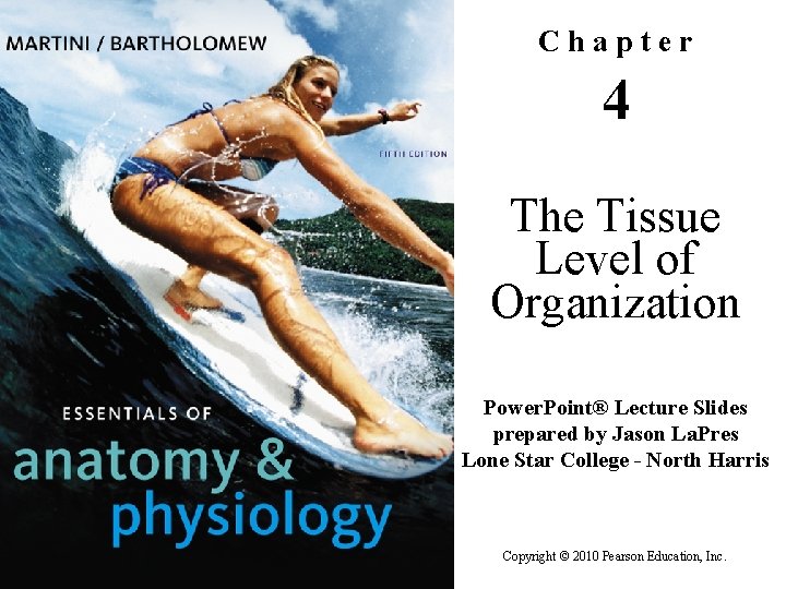 Chapter 4 The Tissue Level of Organization Power. Point® Lecture Slides prepared by Jason