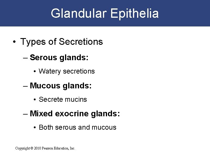 Glandular Epithelia • Types of Secretions – Serous glands: • Watery secretions – Mucous