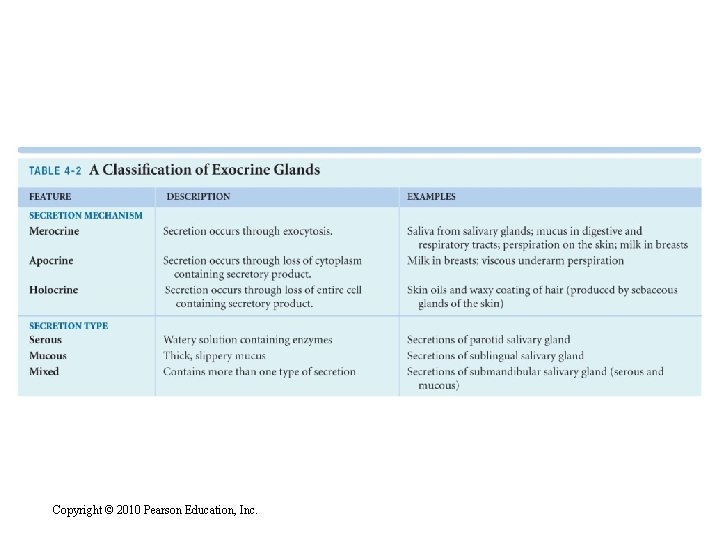 Copyright © 2010 Pearson Education, Inc. 