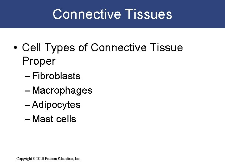 Connective Tissues • Cell Types of Connective Tissue Proper – Fibroblasts – Macrophages –