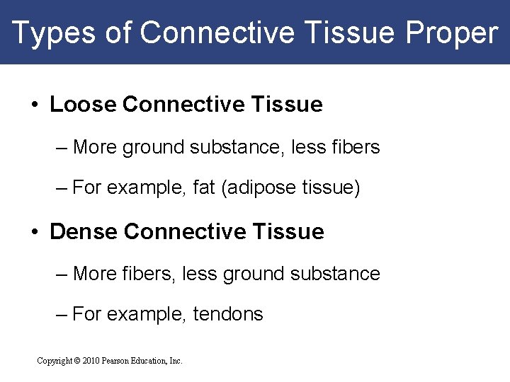 Types of Connective Tissue Proper • Loose Connective Tissue – More ground substance, less