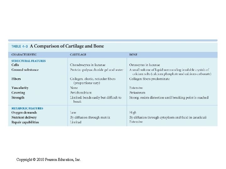 Copyright © 2010 Pearson Education, Inc. 