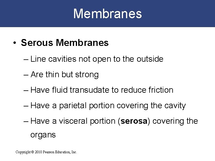 Membranes • Serous Membranes – Line cavities not open to the outside – Are