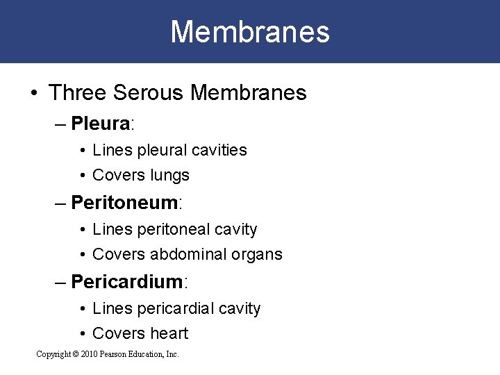 Membranes • Three Serous Membranes – Pleura: • Lines pleural cavities • Covers lungs
