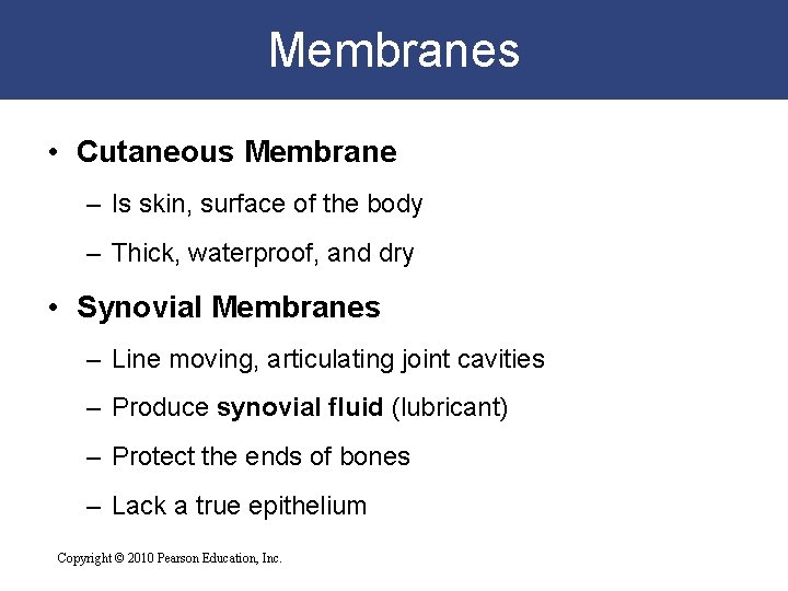 Membranes • Cutaneous Membrane – Is skin, surface of the body – Thick, waterproof,