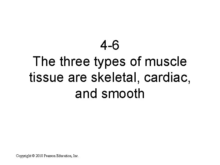 4 -6 The three types of muscle tissue are skeletal, cardiac, and smooth Copyright