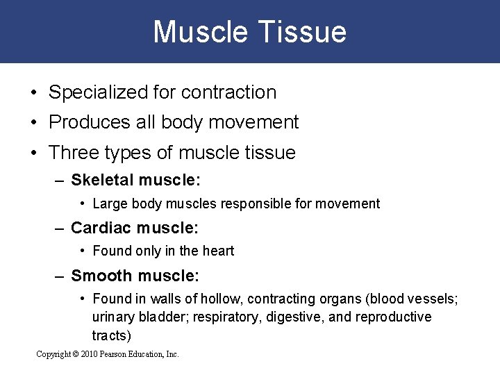 Muscle Tissue • Specialized for contraction • Produces all body movement • Three types