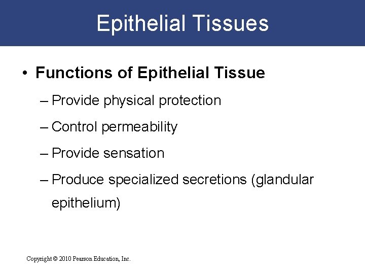 Epithelial Tissues • Functions of Epithelial Tissue – Provide physical protection – Control permeability