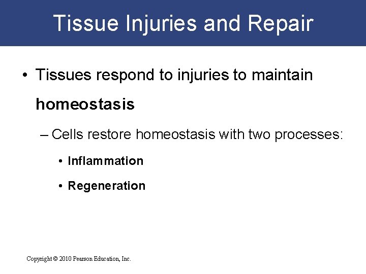 Tissue Injuries and Repair • Tissues respond to injuries to maintain homeostasis – Cells