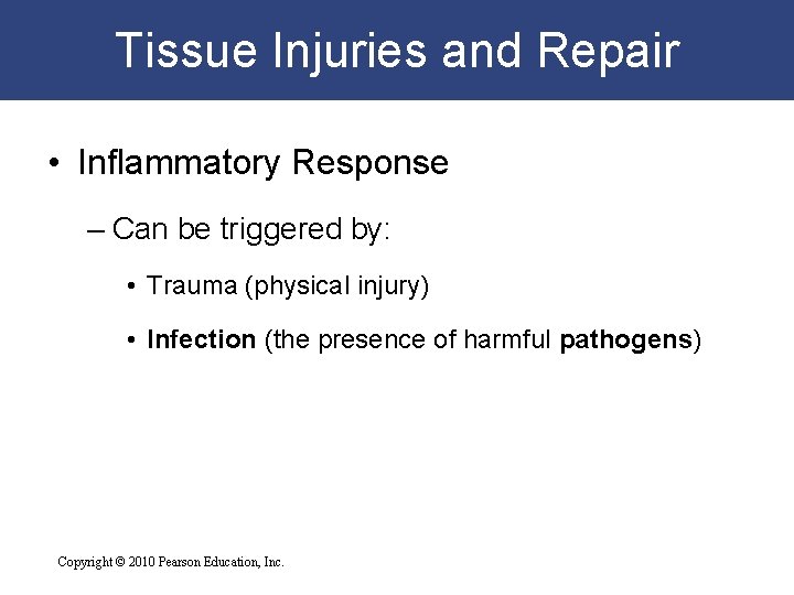 Tissue Injuries and Repair • Inflammatory Response – Can be triggered by: • Trauma