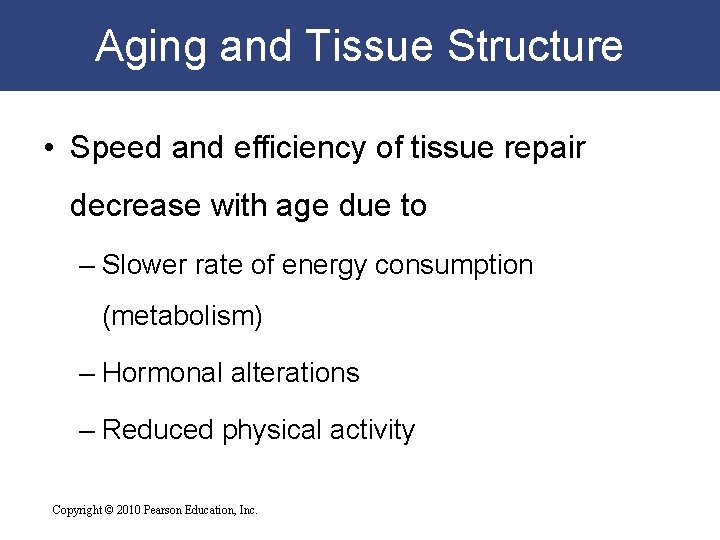 Aging and Tissue Structure • Speed and efficiency of tissue repair decrease with age