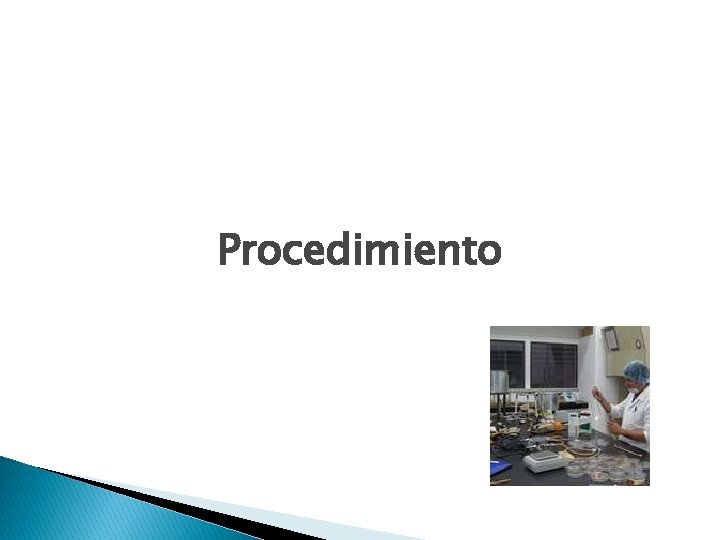 Procedimiento 