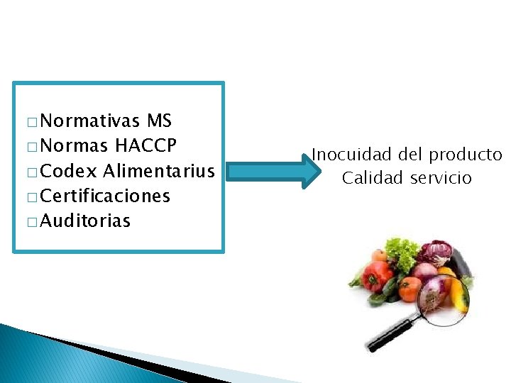 � Normativas MS � Normas HACCP � Codex Alimentarius � Certificaciones � Auditorias Inocuidad