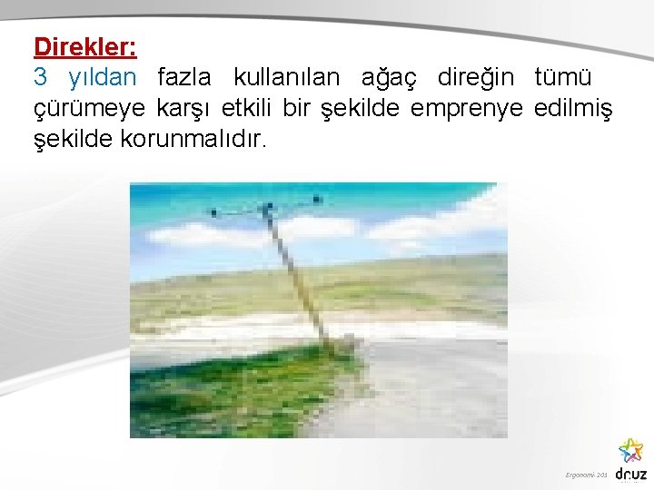 Direkler: 3 yıldan fazla kullanılan ağaç direğin tümü çürümeye karşı etkili bir şekilde emprenye