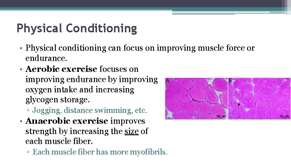 Physical Conditioning • Physical conditioning can focus on improving muscle force or endurance. •