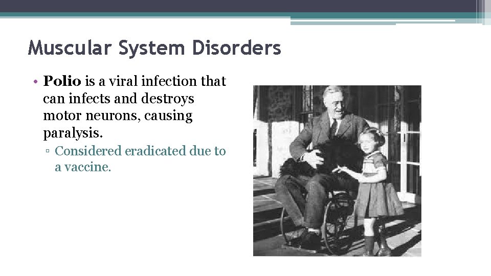 Muscular System Disorders • Polio is a viral infection that can infects and destroys