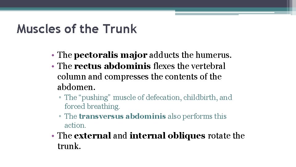 Muscles of the Trunk • The pectoralis major adducts the humerus. • The rectus