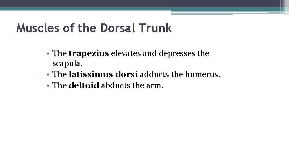 Muscles of the Dorsal Trunk • The trapezius elevates and depresses the scapula. •