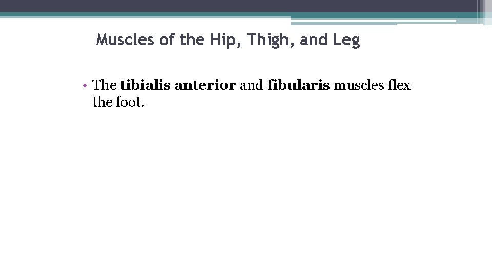 Muscles of the Hip, Thigh, and Leg • The tibialis anterior and fibularis muscles
