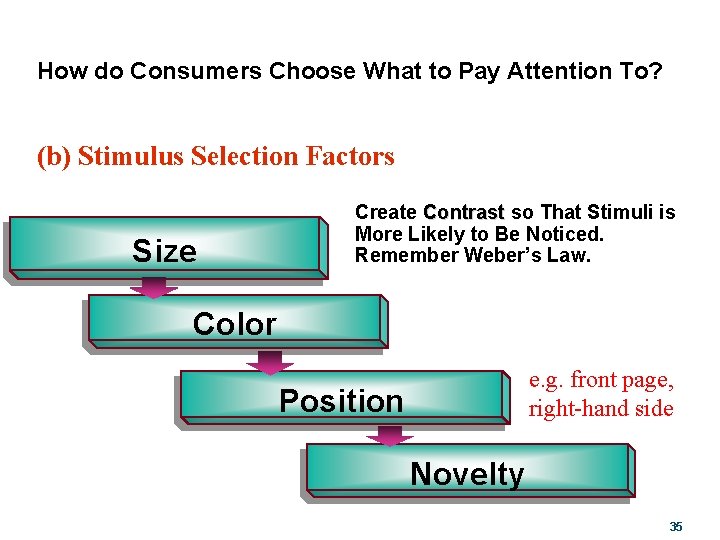 How do Consumers Choose What to Pay Attention To? (b) Stimulus Selection Factors Size