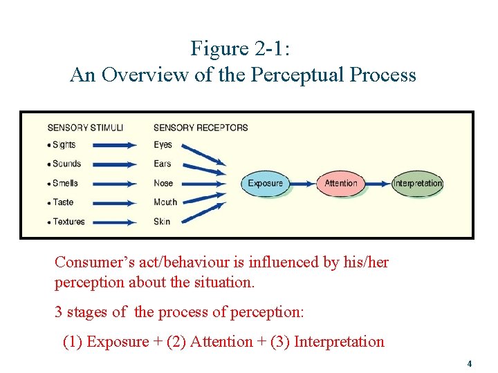 Figure 2 -1: An Overview of the Perceptual Process Consumer’s act/behaviour is influenced by