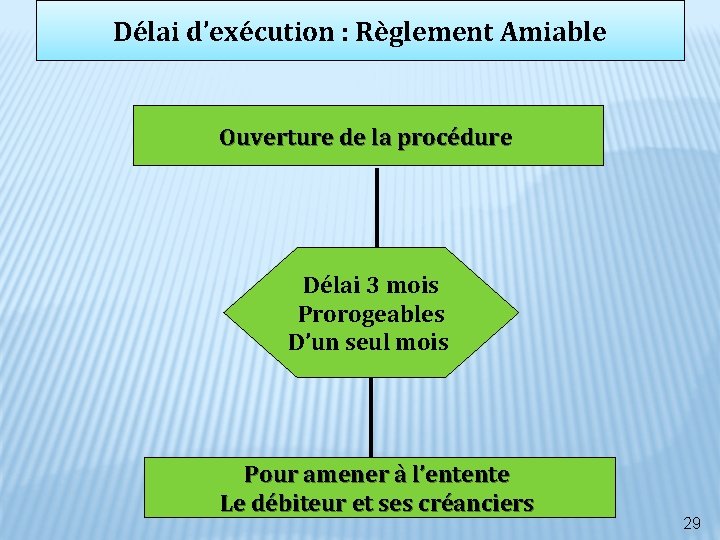 Délai d’exécution : Règlement Amiable Ouverture de la procédure Délai 3 mois Prorogeables D’un Délai d’exécution : Règlement Amiable Ouverture de la procédure Délai 3 mois Prorogeables D’un