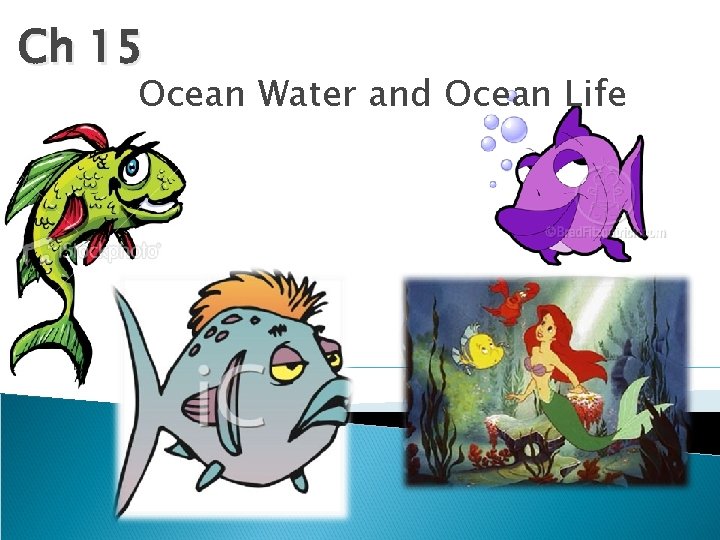 Ch 15 Ocean Water and Ocean Life 