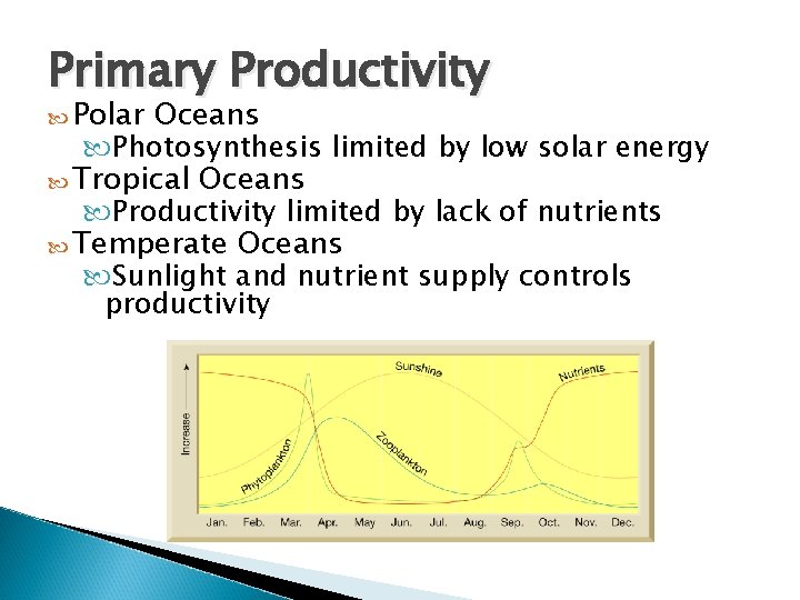 Primary Productivity Polar Oceans Photosynthesis limited by low solar energy Tropical Oceans Productivity limited