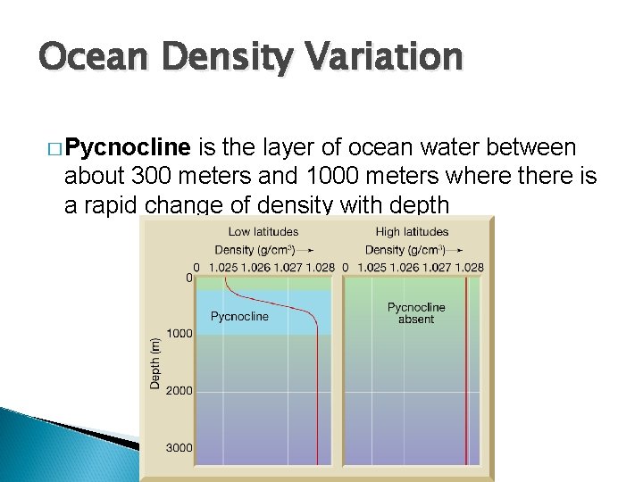 Ocean Density Variation � Pycnocline is the layer of ocean water between about 300